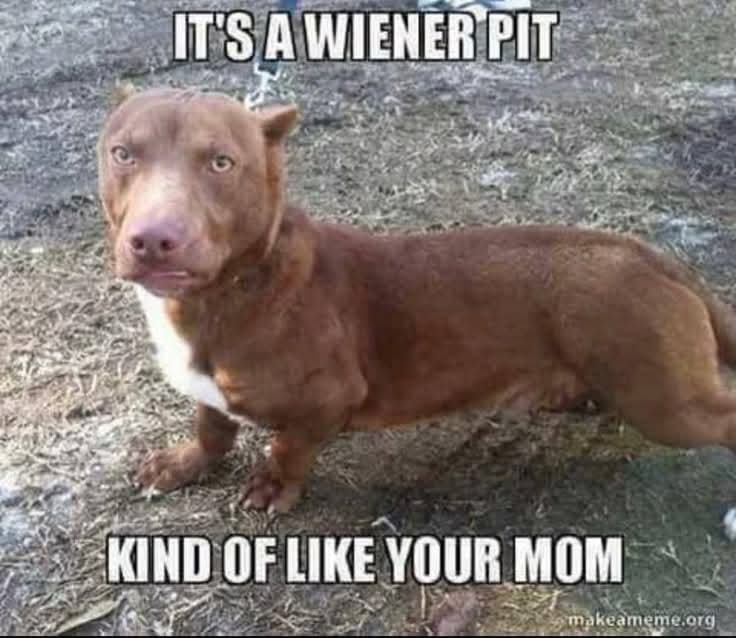 <a href="/SpillTheMemes/">Spill The Memes</a>