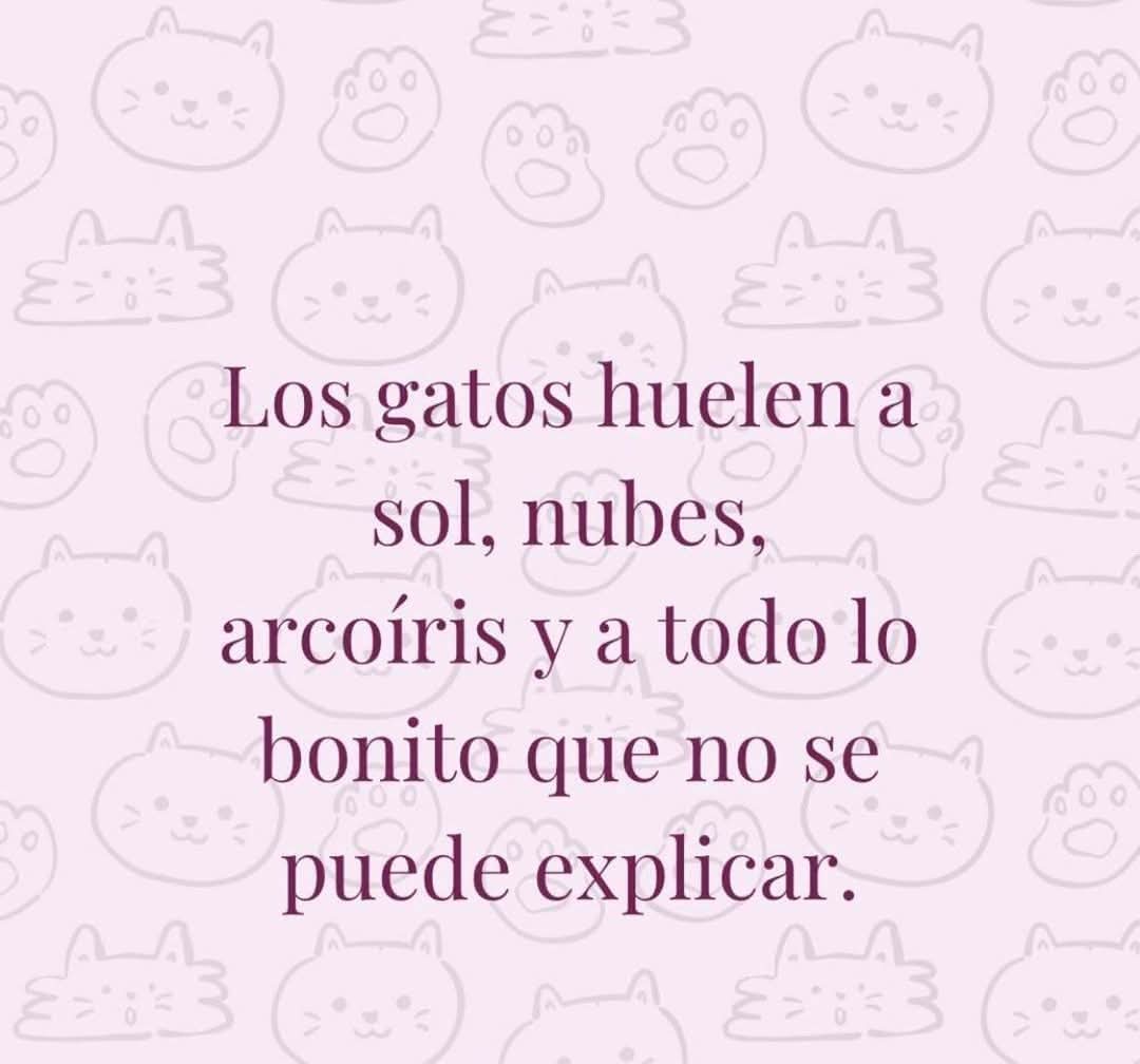 AlineNorena's tweet photo. https://t.co/NGEpbXudU6
