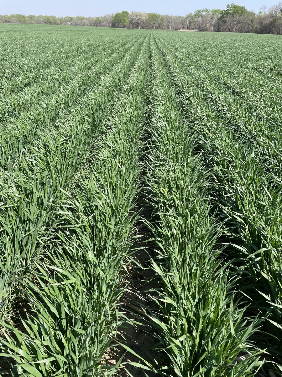 jwseedman's tweet photo. Look at what you are missing @speerman42 https://t.co/zZvJ15Pb93