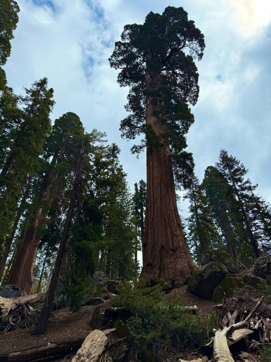 Im thankful that I work for a company where amidst one of the busiest times at work, I’m able to get away during my kids’ spring break to get some family time. We visited our first two national parks and fell in love. Support national parks!
