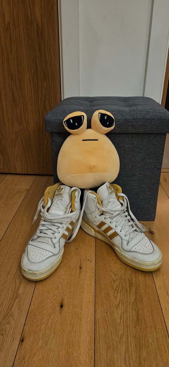 Dan Hanc tweet media