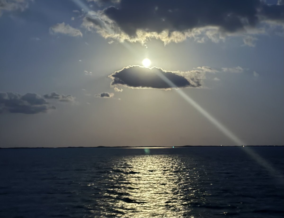 J.K. Rowling tweet media