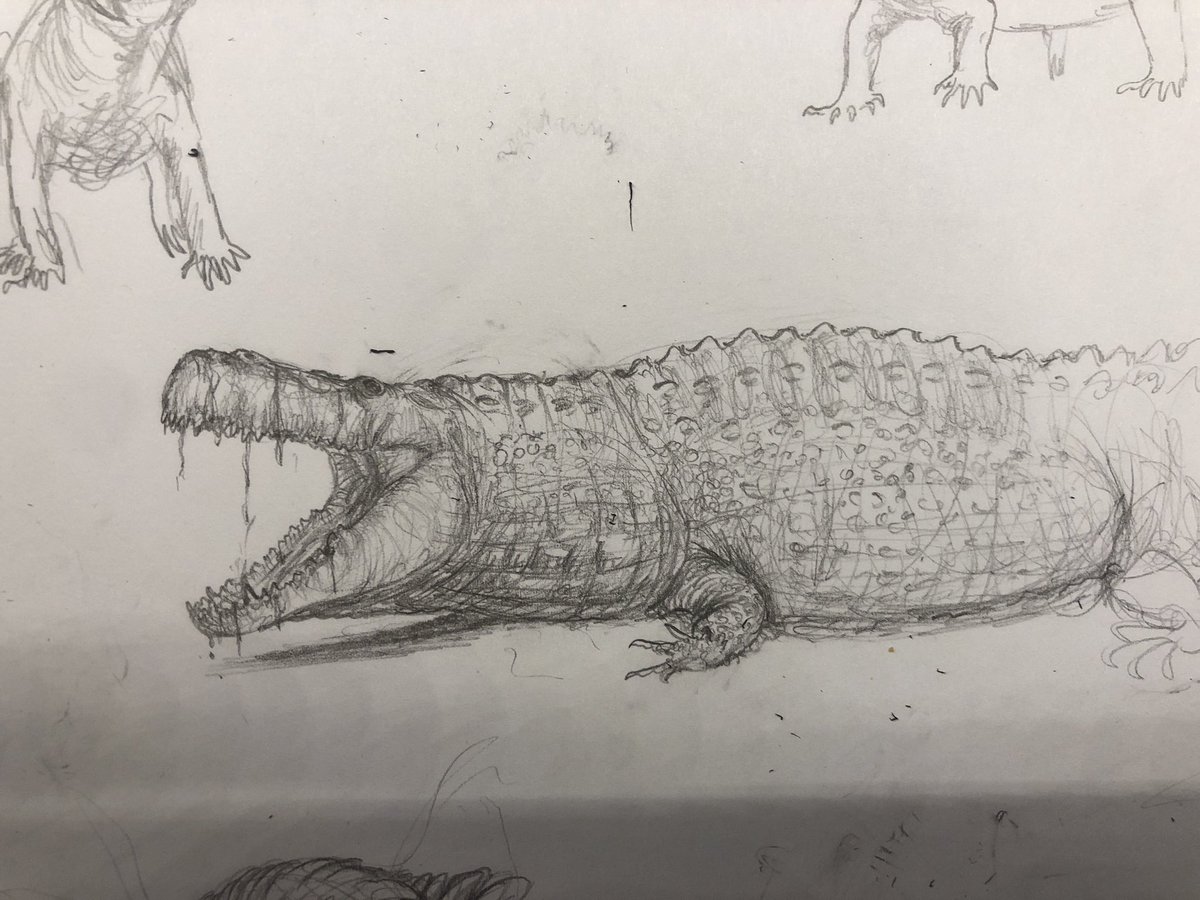 Purussaurus sketch