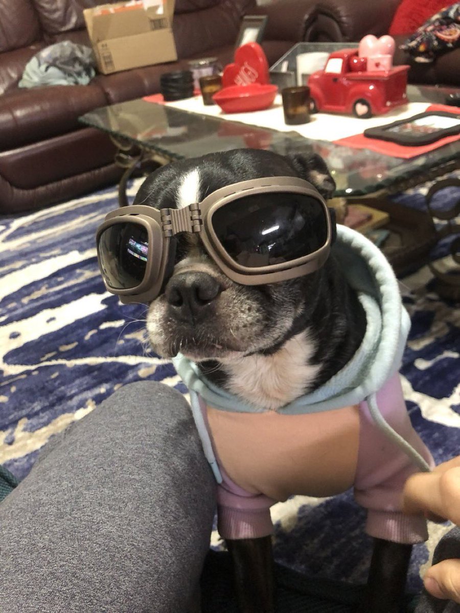 रepullze tweet media