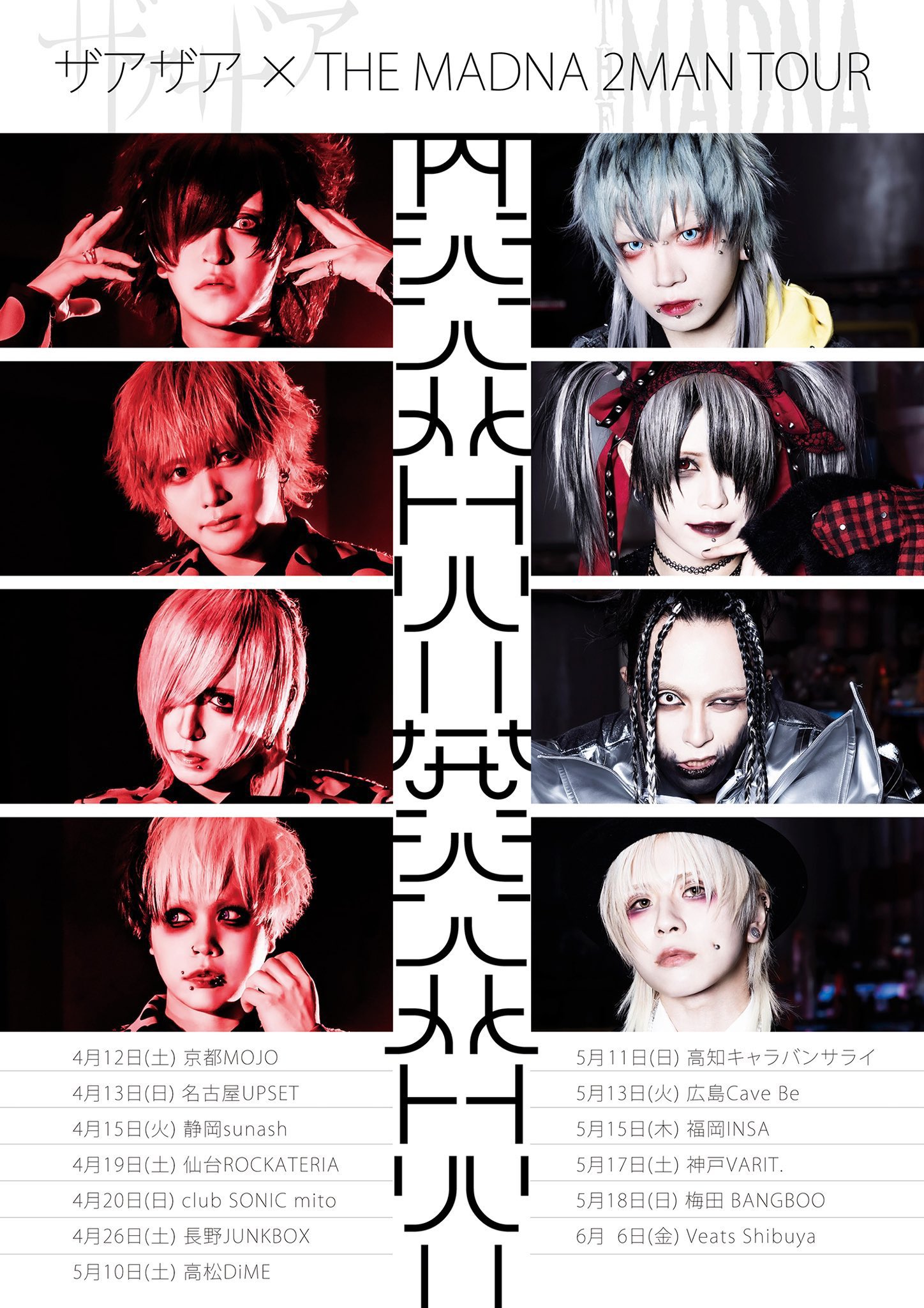 ザアザア XAAXAA グッズチェキセット（春芽さん）