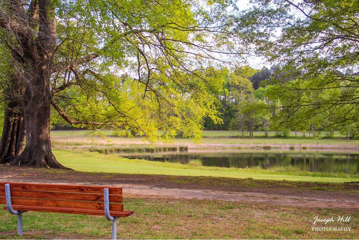 JosephHill3794's tweet photo. Phillips Memorial Park🏞
Photo By: Joseph Hill🙂📸 

#PhillipsMemorialPark #park #lake #bench #nature #spring #beautiful #peaceful #naturephotography #CameronNC #VisitNC #April https://t.co/r7fKGWcOzC