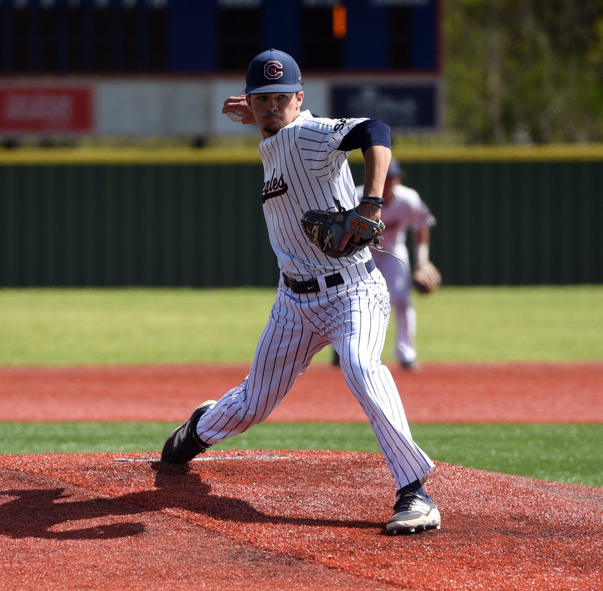 Carson-Newman Athletics tweet media