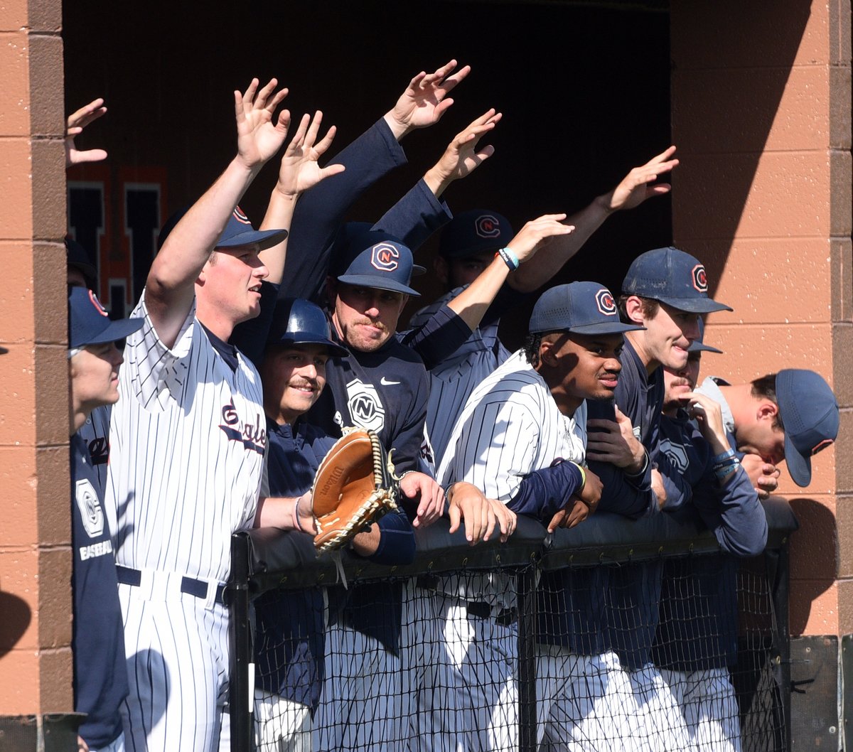Carson-Newman Athletics tweet media