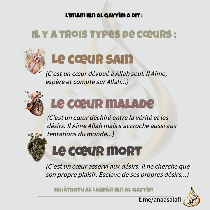 Les trois types de cœurs......