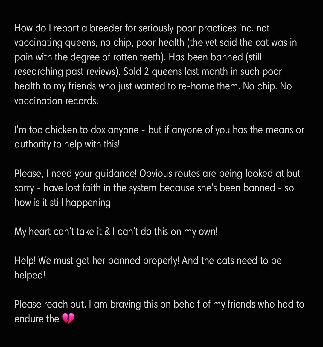 Hey #CatsOfX #AnimalLovers 
HELP!