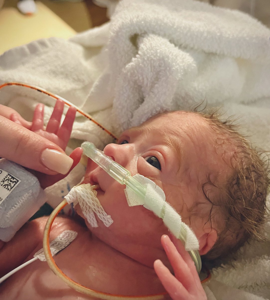 David Reeves tweet media