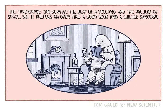 Le samedi soir, il reste nécessaire - voire indispensable - de poster du Tom Gauld tomgauld.com (traduction et description en cliquant sur ALT).