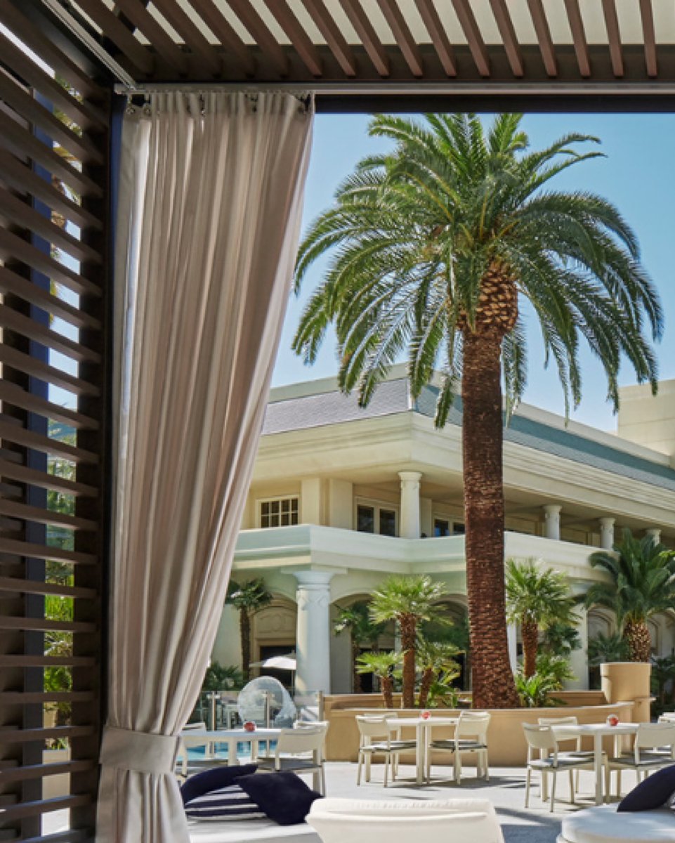 Sanctuary, shade, and swaying palms.🌴 Our Oasis Pool offers a private, peaceful escape framed by lush landscaping and towering palm trees. Book a summer escape: bit.ly/4idgos6 #vegas