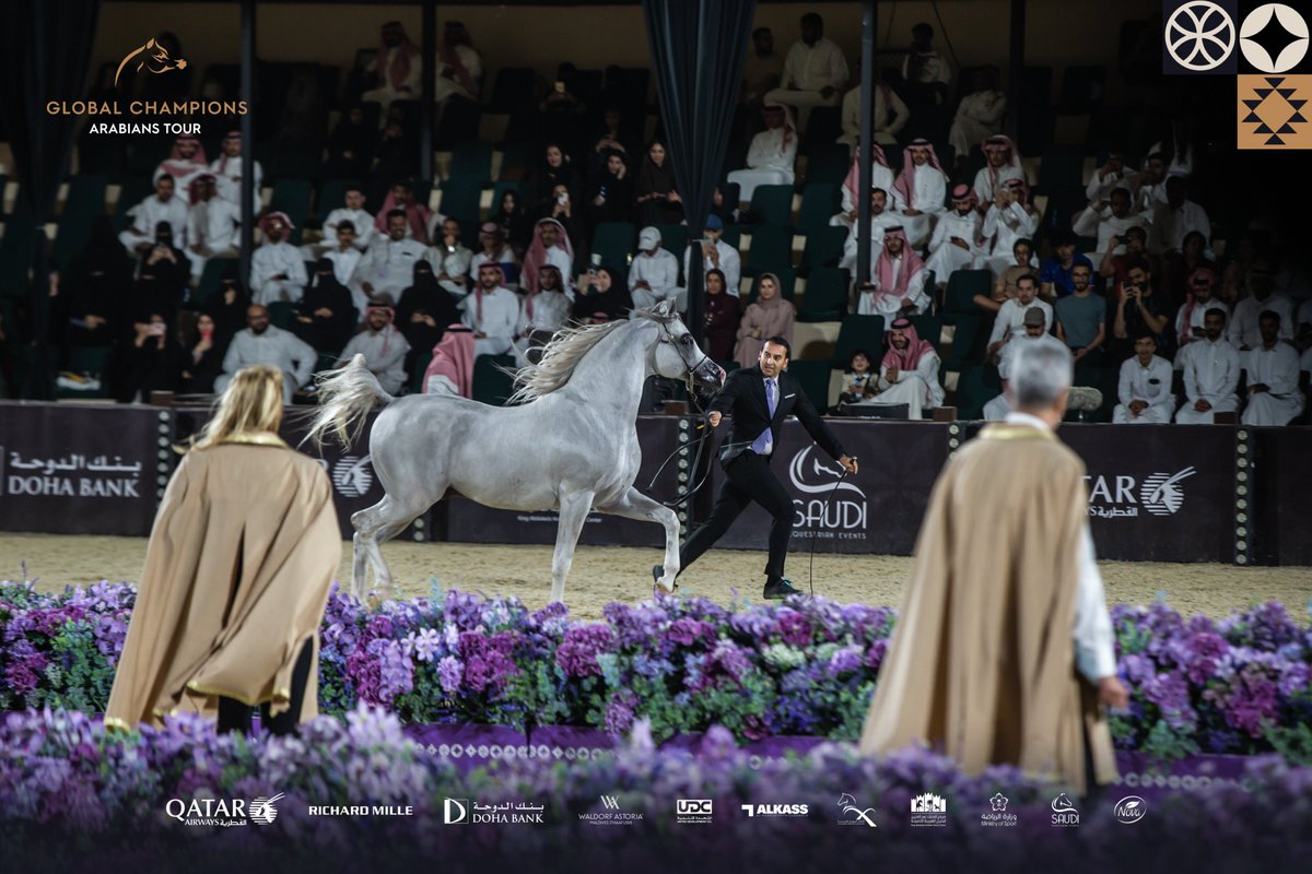GCAT_Riyadh's tweet photo. تتفق فيها الوصوف الممكنة والمستحيلة 
#جولة_الجياد_العربية #جمال_يخلد_وإرث_يتجدد https://t.co/WUwX26IMtr