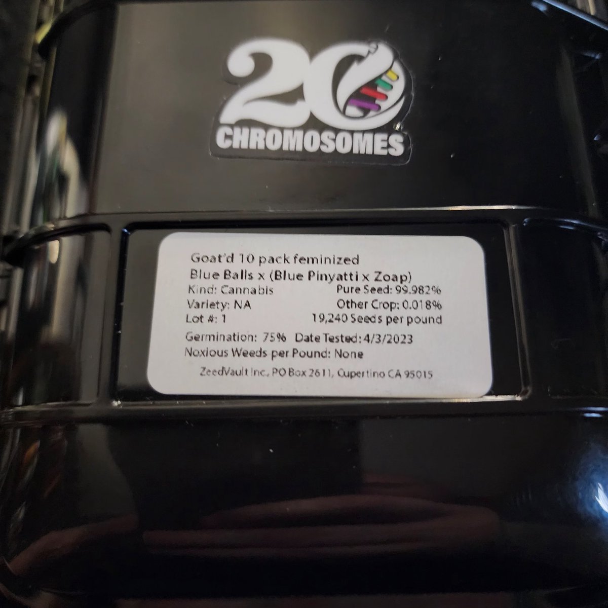 Boofproof84's tweet image. Shot out to the @ZeedVault for this Not 1 of 1, 20 Chromosomes Goat'd (Blue Balls x Blue Pinyatti x Zoap) feminized 10 seed pack. I've never seen packaging coming even close to this. Shot out to Mark from @Grandiflora510.
#BoofProof #ZeedVault #GrandifloraGenetics #BayArea