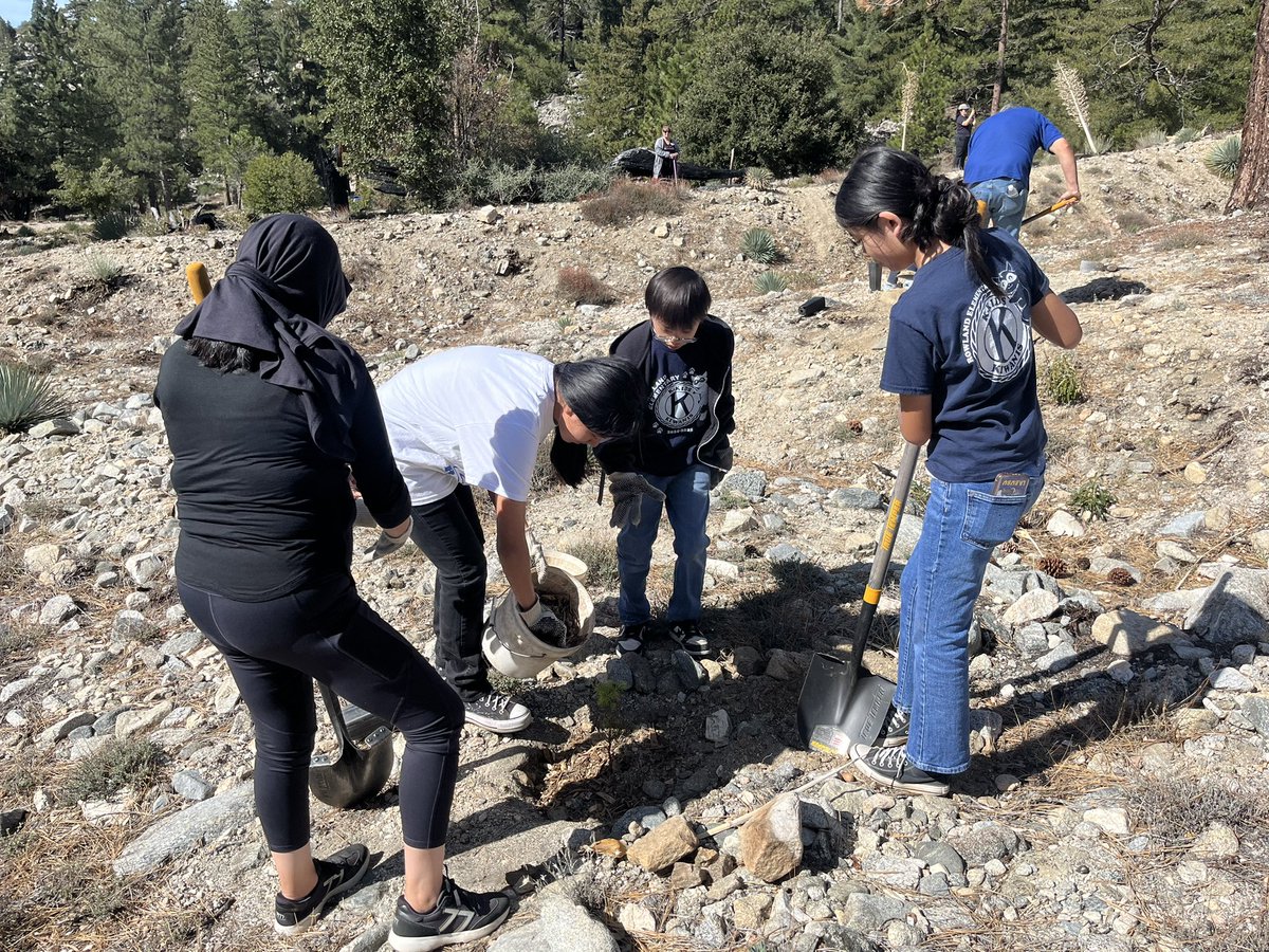 Mrs. Holloway tweet media