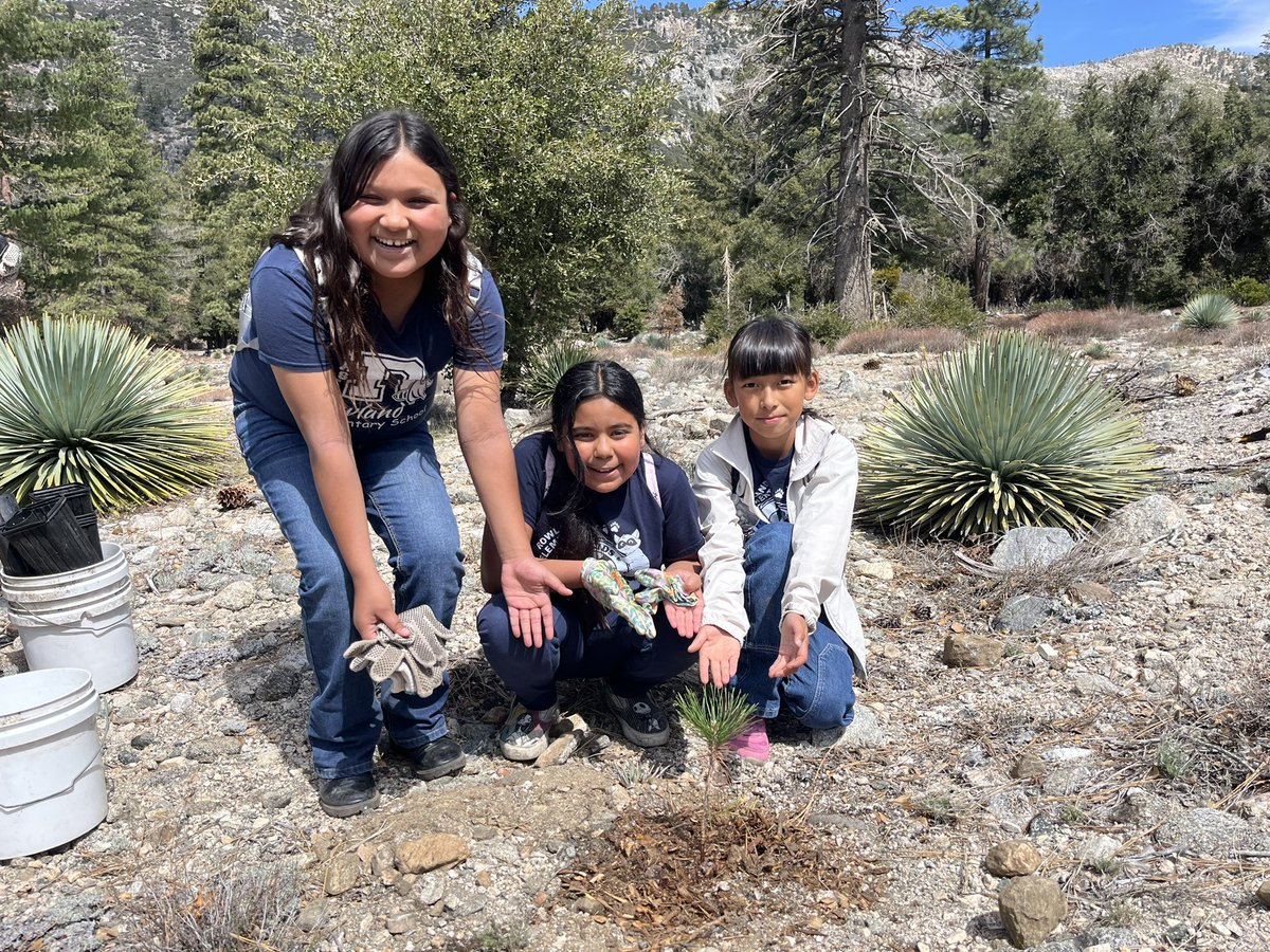 Mrs. Holloway tweet media