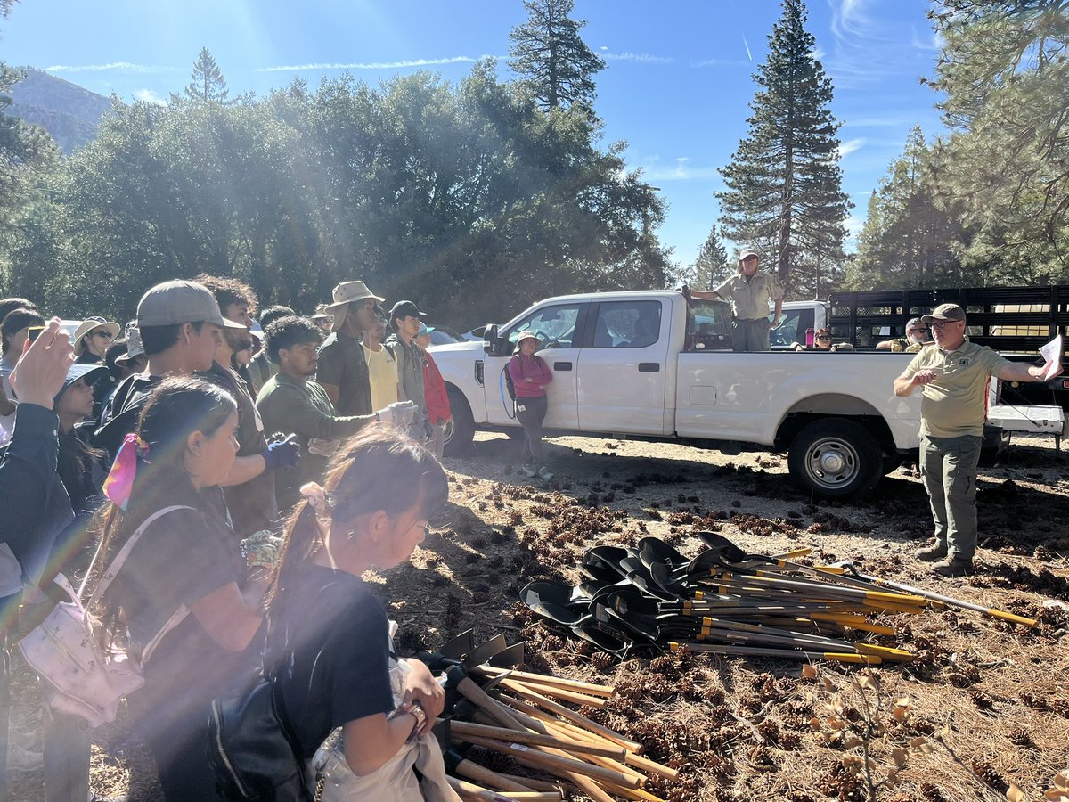 Mrs. Holloway tweet media