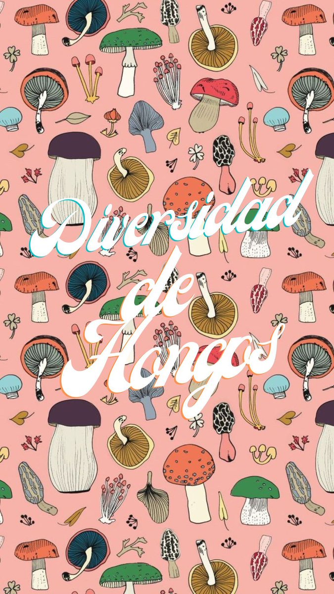 Una muestra de la gran #diversidad del reino #fungi, la #funga, los #hongos 🍄

#biodiversidad #diversity #biodiversity 
instagram.com/p/Cn5XHlOoTXE/