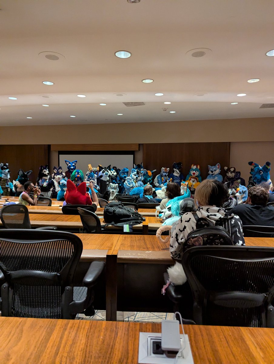 BlueBoostt's tweet image. They are just like me FOR REAL