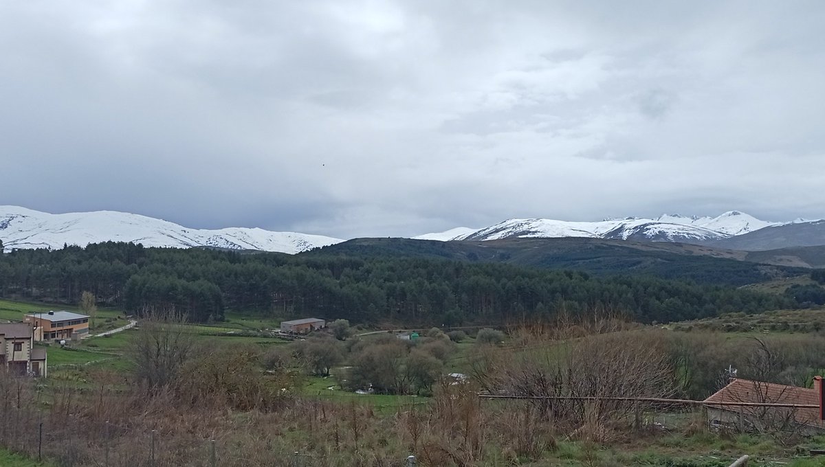 <a href="/Mascaravila_Of/">Mascarávila Oficial</a> <a href="/JavierPerezARGI/">Javier Pérez Andrés</a> <a href="/Cerro_Gallinero/">Centro de Arte y Naturaleza Cerro Gallinero</a> <a href="/CyLEsVida/">Turismo Castilla y León</a> <a href="/BarGredos/">Bar Gredos</a> <a href="/HoyosdelEspino/">Hoyos del Espino</a> <a href="/Hoyosespino_cpt/">Hoyosdelespino</a> Postres. .<a href="/BarGredos/">Bar Gredos</a>