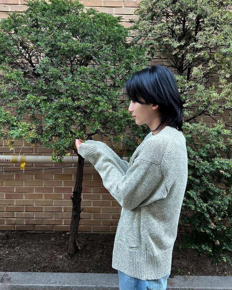 하니행뵹 tweet media