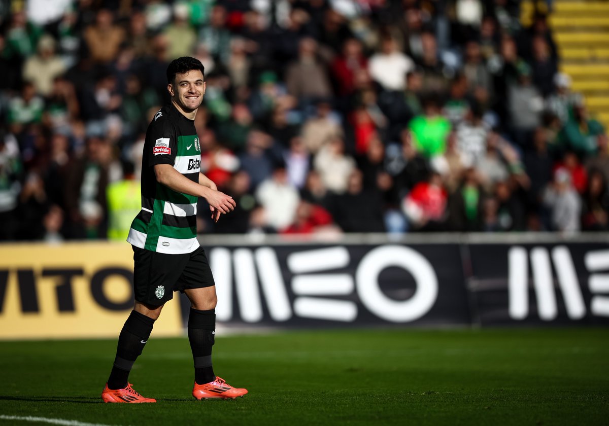 Welcome back, Pote 🍯💚