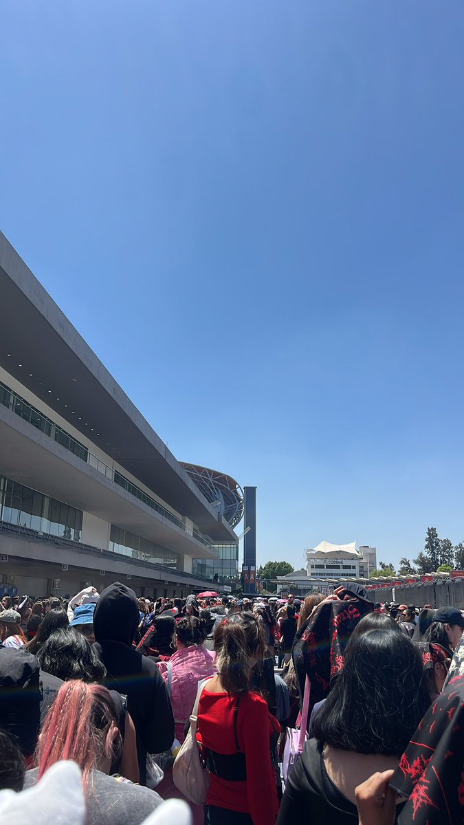 💗Bunny 💗 tweet media