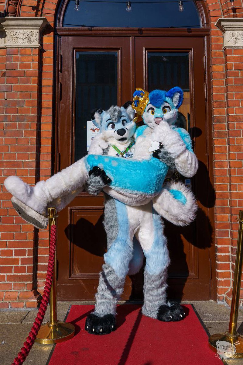 I caught a dancing husky 😍 <a href="/FlukeHusky/">Fluke Husky 🤍</a>