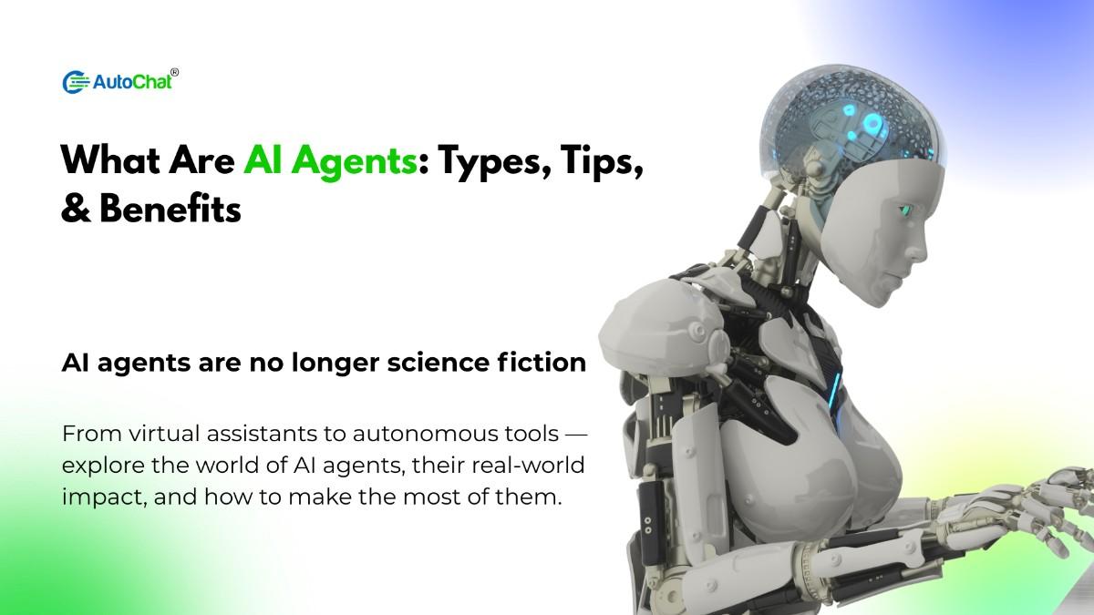 AutoChatOfficial tweet media