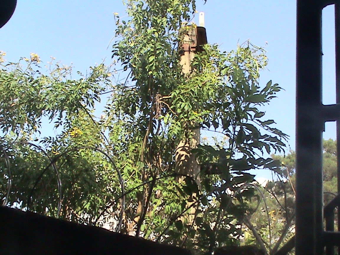 I love old cameras ❤️❤️