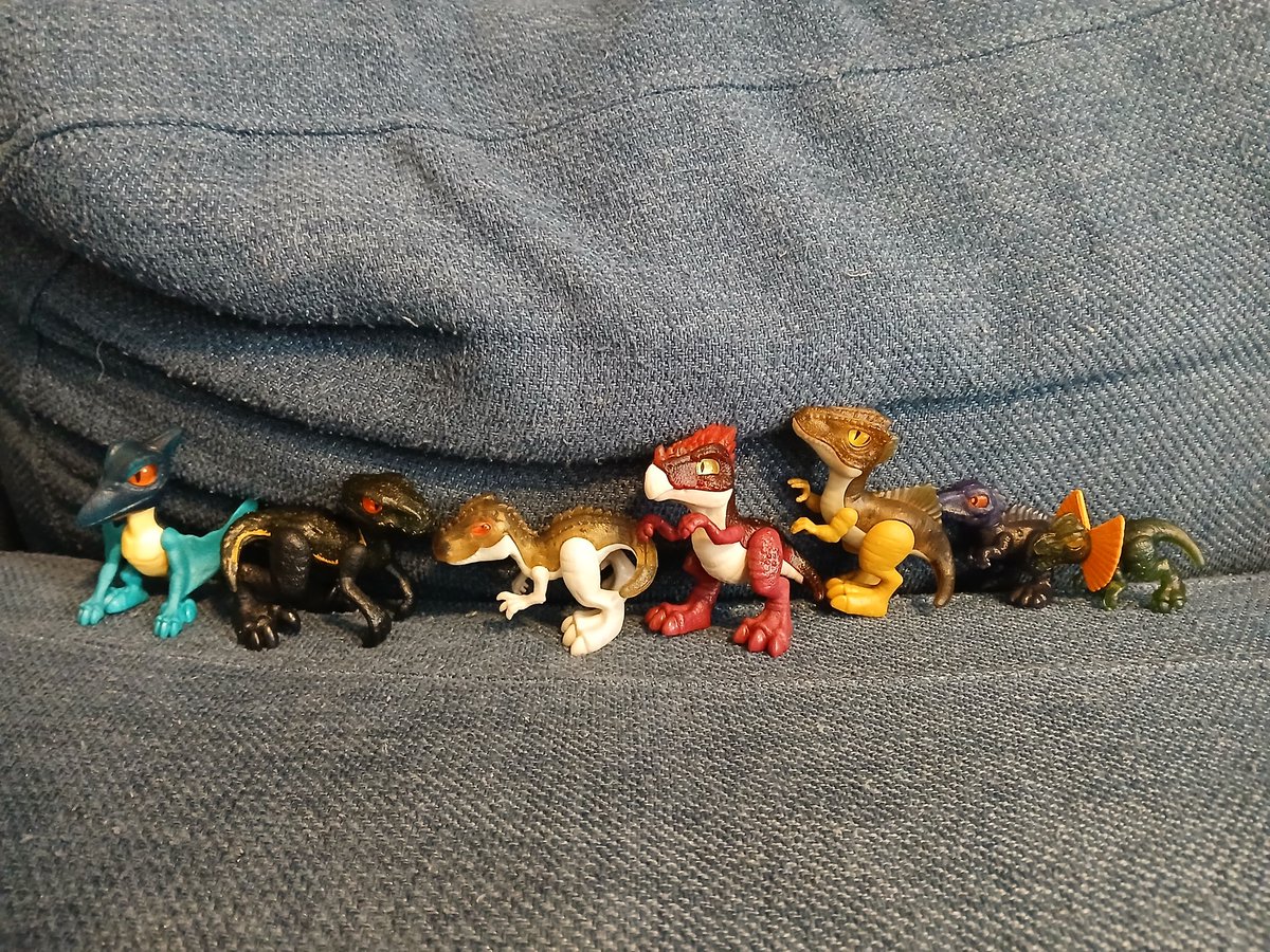 Raptor Dash tweet media