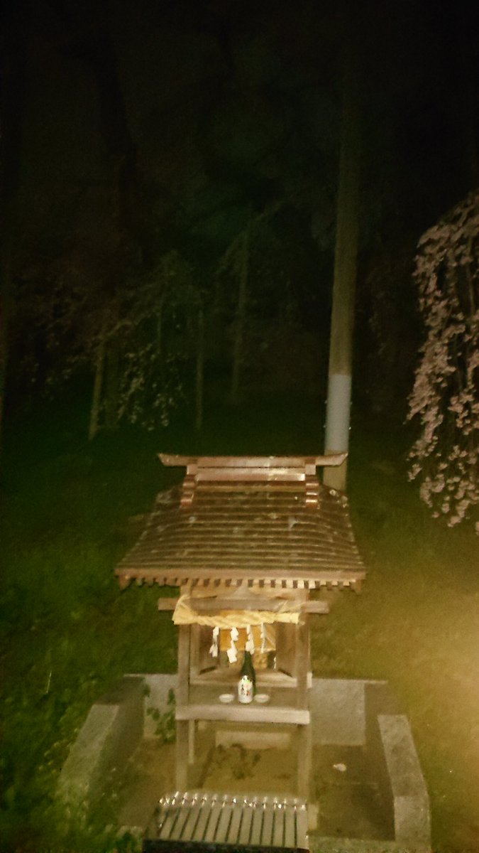 ssspentan's tweet photo. 三春の滝桜🌸

夜桜を見に行ったら
変な写真を撮ってしまいました。

ここ 心霊スポットでしたっけ？ https://t.co/M1pl0TlCn4