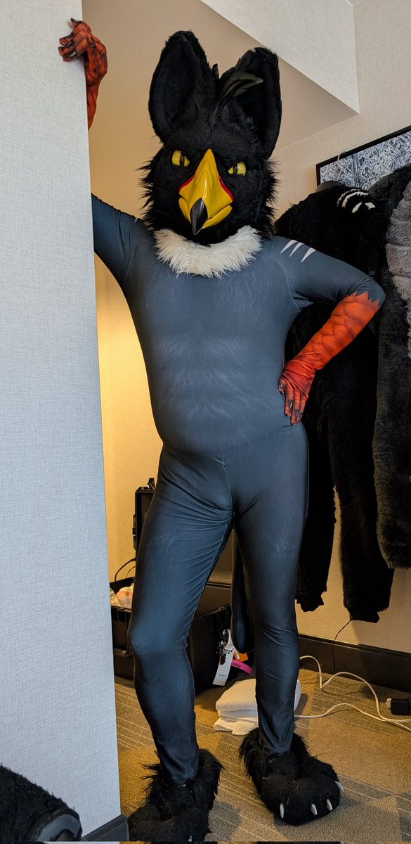 The StudGryph Experience ⛈️ 🔜 MFF tweet media