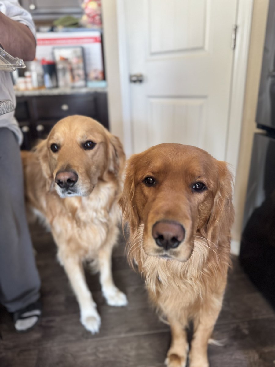 Kelly Karnetsky tweet media