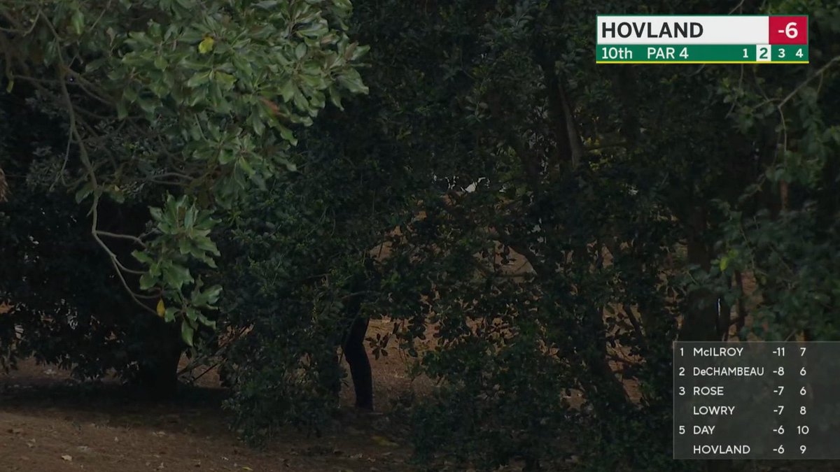 Hovlands drive more wayward than Dominic Cummings.