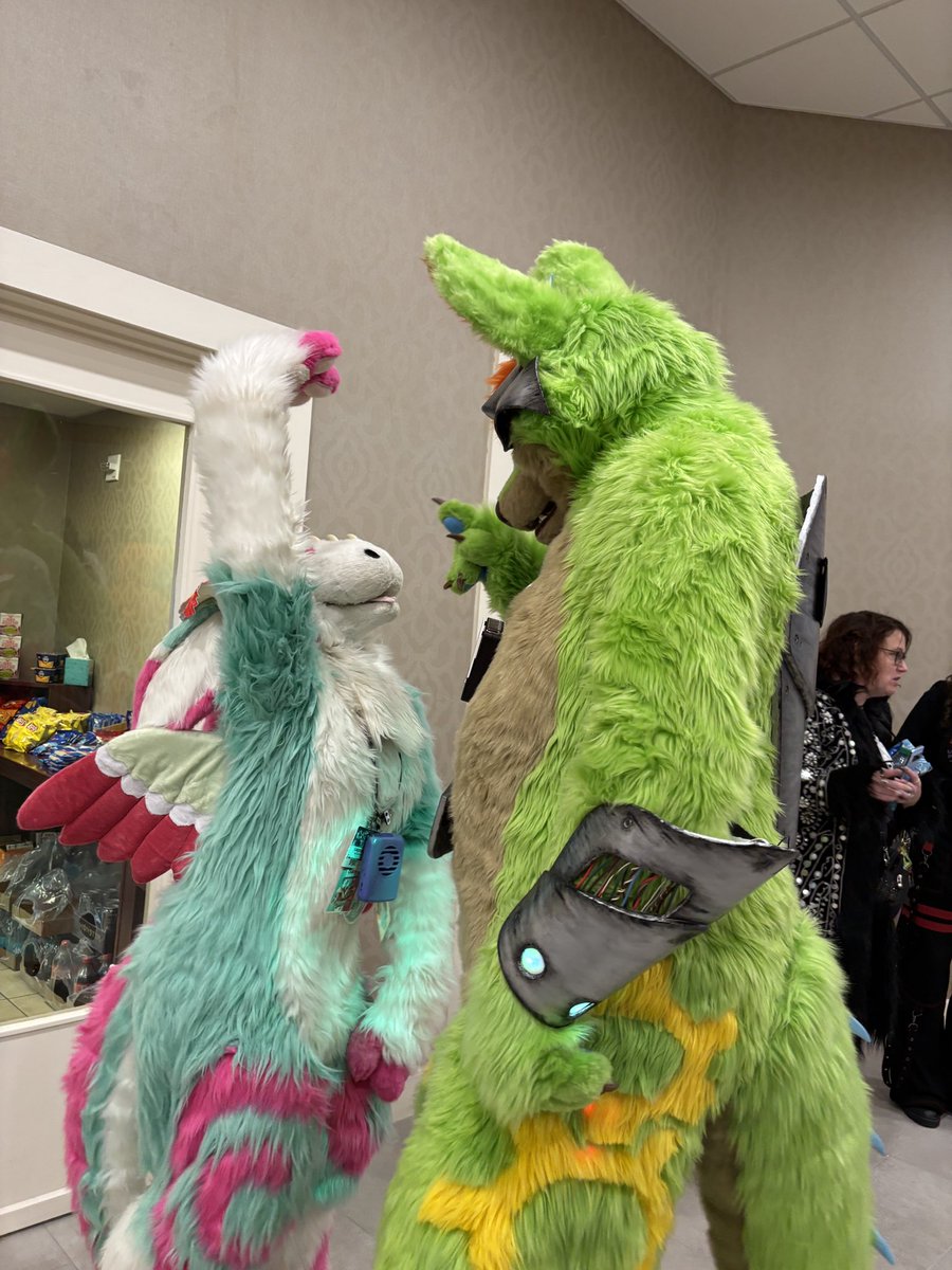 shortfolks's tweet photo. Our Furry Ambassadors Lagoona @Yippiegal and Mama Bear Kalliope are having fun visiting at @Furcationland!   Good luck, Lagoona, in the dance competition tonight!  #FCL2025 https://t.co/mt1PQNl3jt