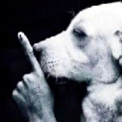 así que ch ch

nadie lo sabra