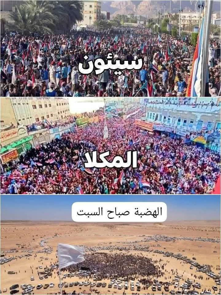 لكم الحكم 
#قوه_حضرموت_بالنخبه