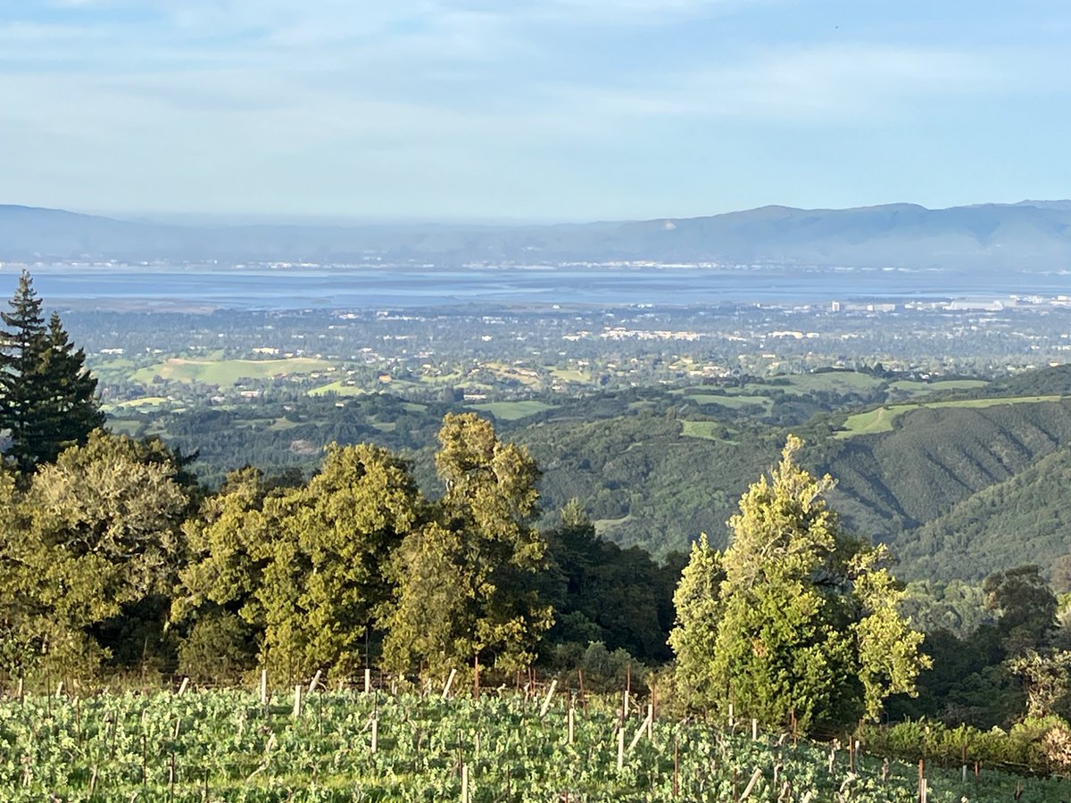 A late Friday night meeting with the South Skyline Homeowners Association. Joining me on the panel were representatives of the California Highway Patrol, SMC Sheriff’s Office, SCC Sheriff’s Office and CalTrans. We gathered at Fogarty Vineyards, on an absolutely beautiful evening.