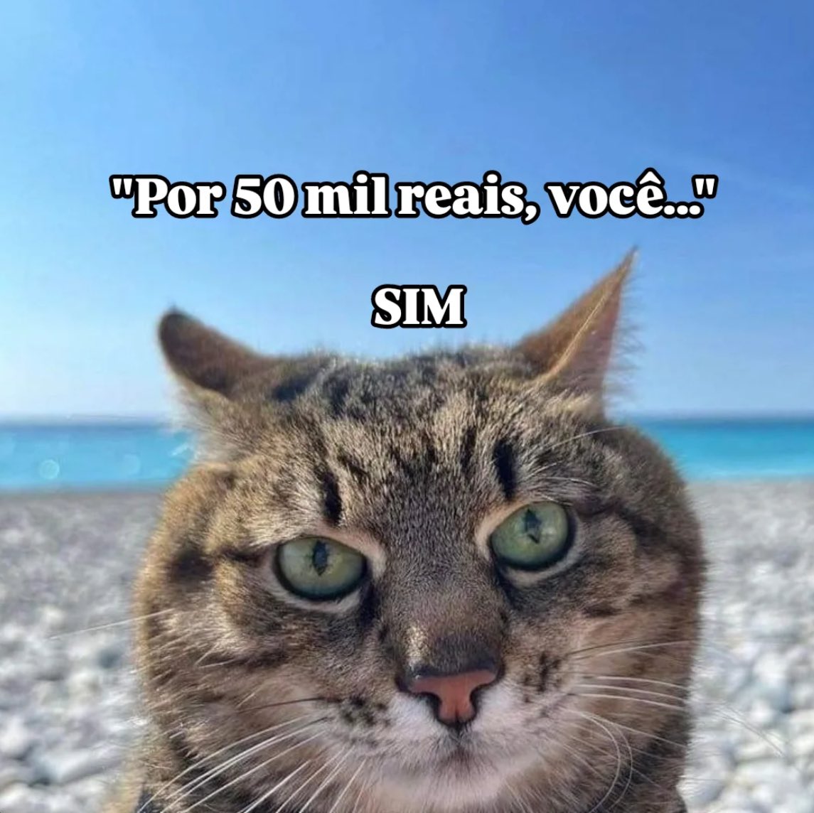 musa dos meme tweet media