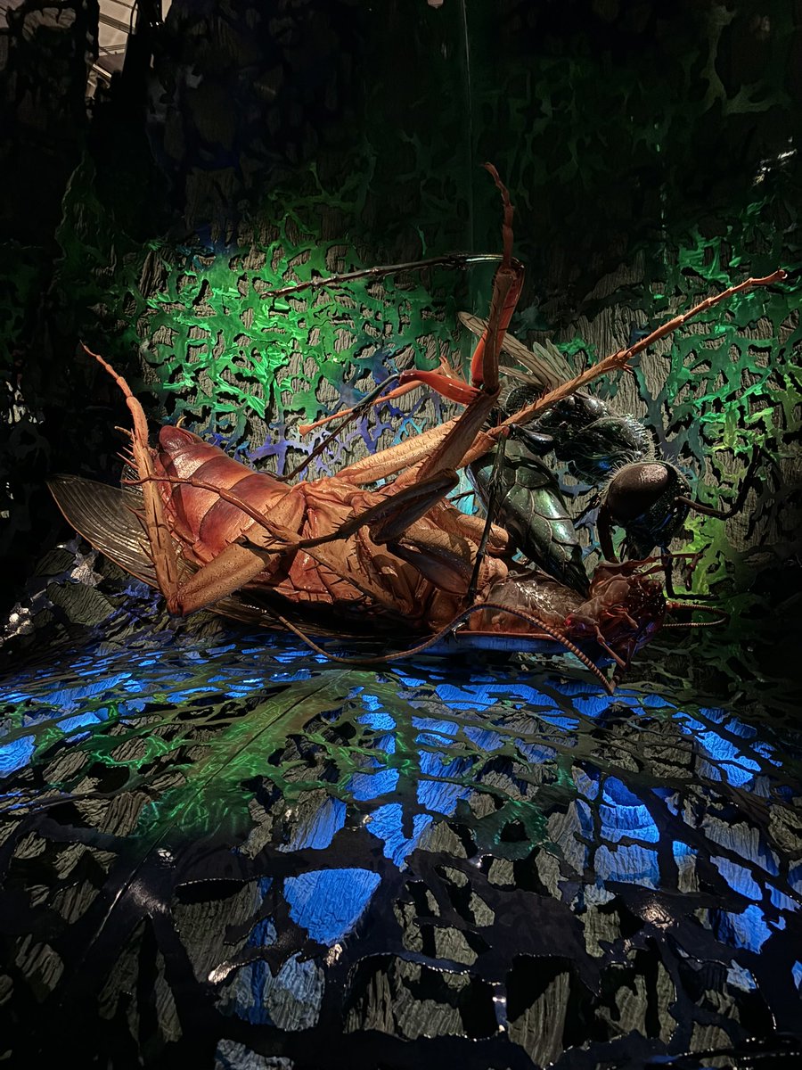 ✨🩷💫Space babies 4/25 6pm EST! 💫🩷✨ tweet media