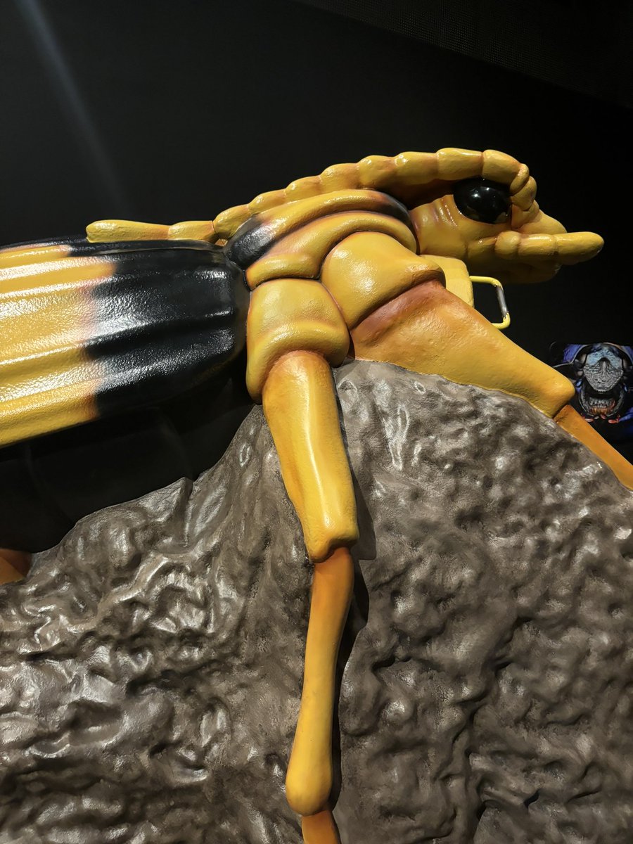 ✨🩷💫Space babies 4/25 6pm EST! 💫🩷✨ tweet media