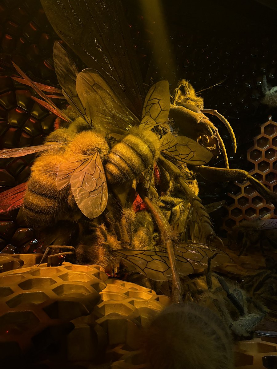 ✨🩷💫Space babies 4/25 6pm EST! 💫🩷✨ tweet media