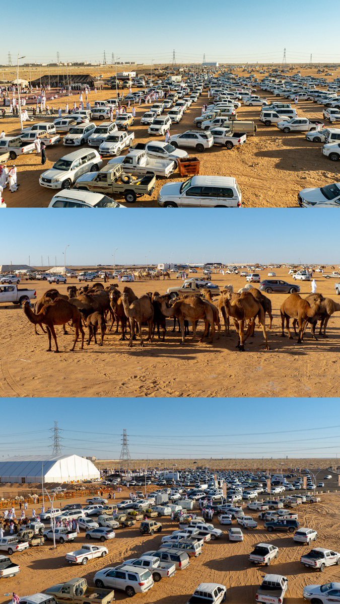 Sma6461's tweet photo. على حافة الغروب ...
أواسي الشمس ..
ويواسيني الشفق ..
تلحق ولا ما تلحق
في اخر يومين من #مزاد_الابل_بالجوف https://t.co/4bPplG5OTQ