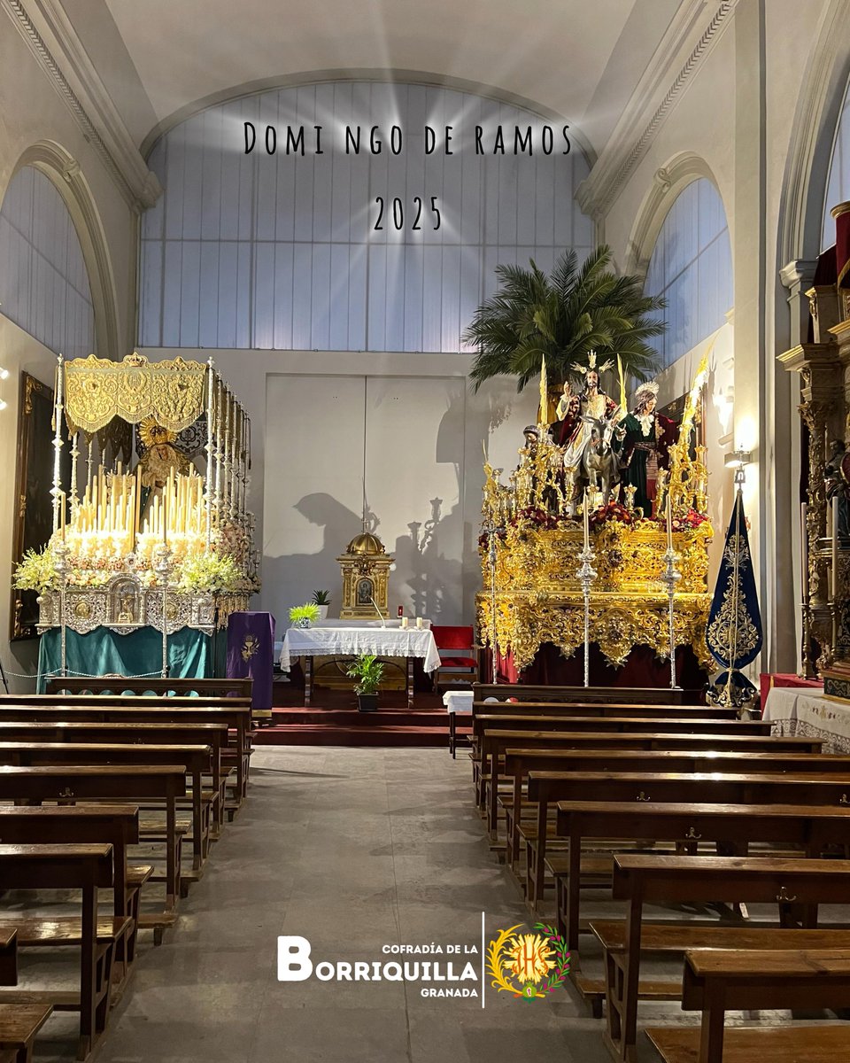 Cofradía Borriquilla de Granada tweet media