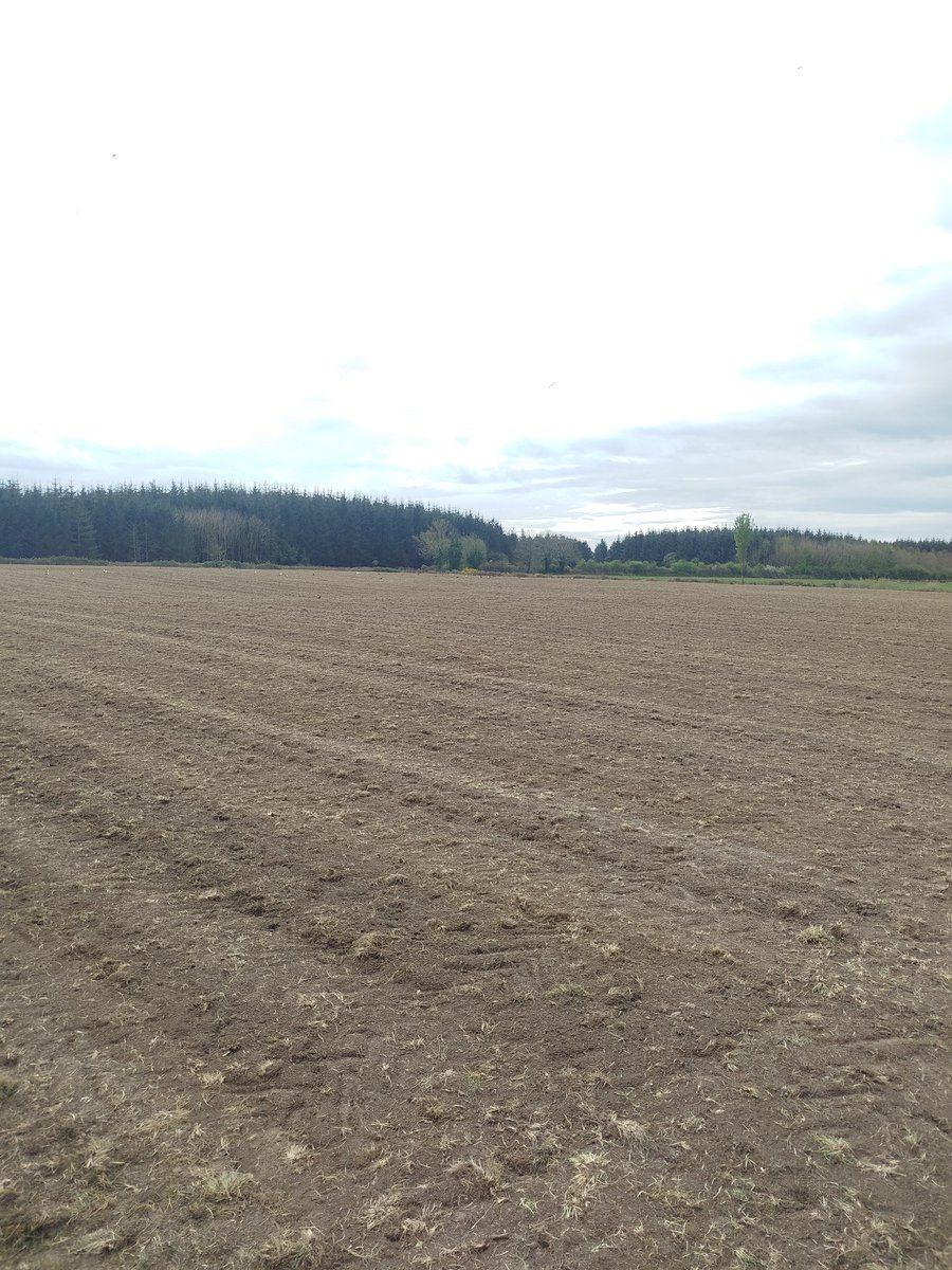 Another one done and dusted 👌 <a href="/Germinal_Ire/">Germinal Ireland</a>