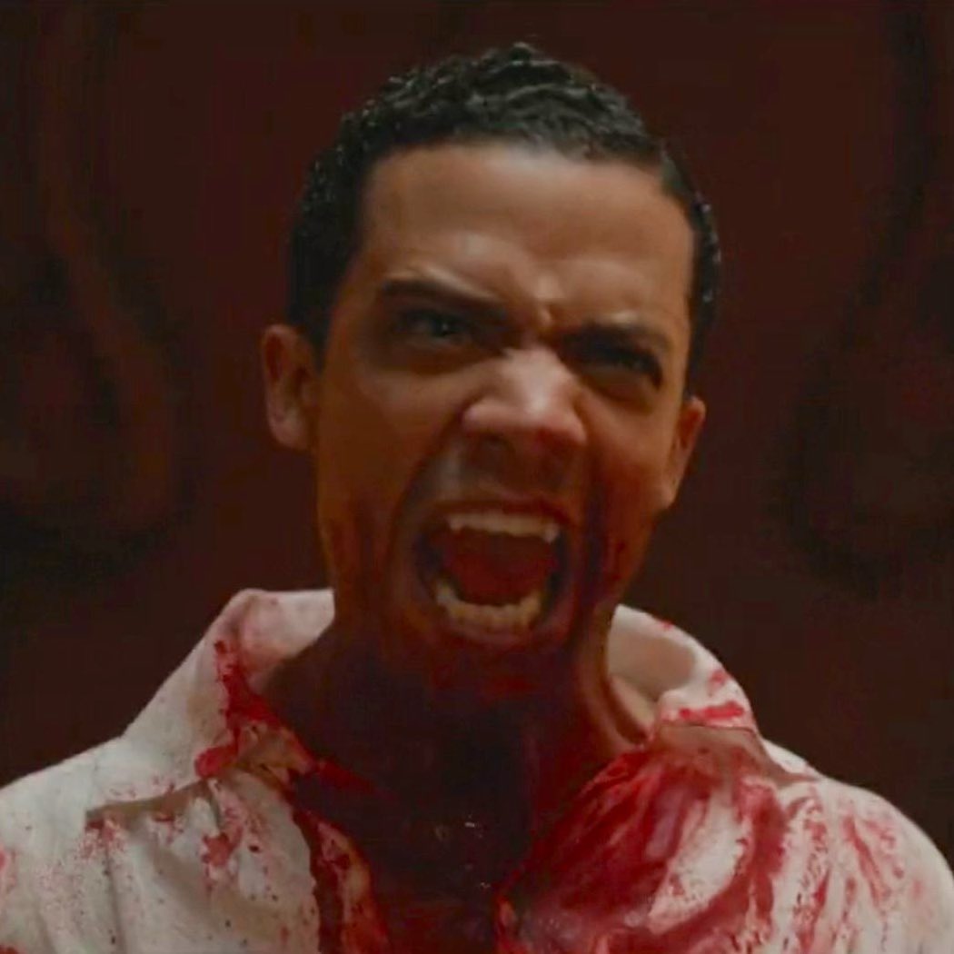 Daily Kittylou tweet media