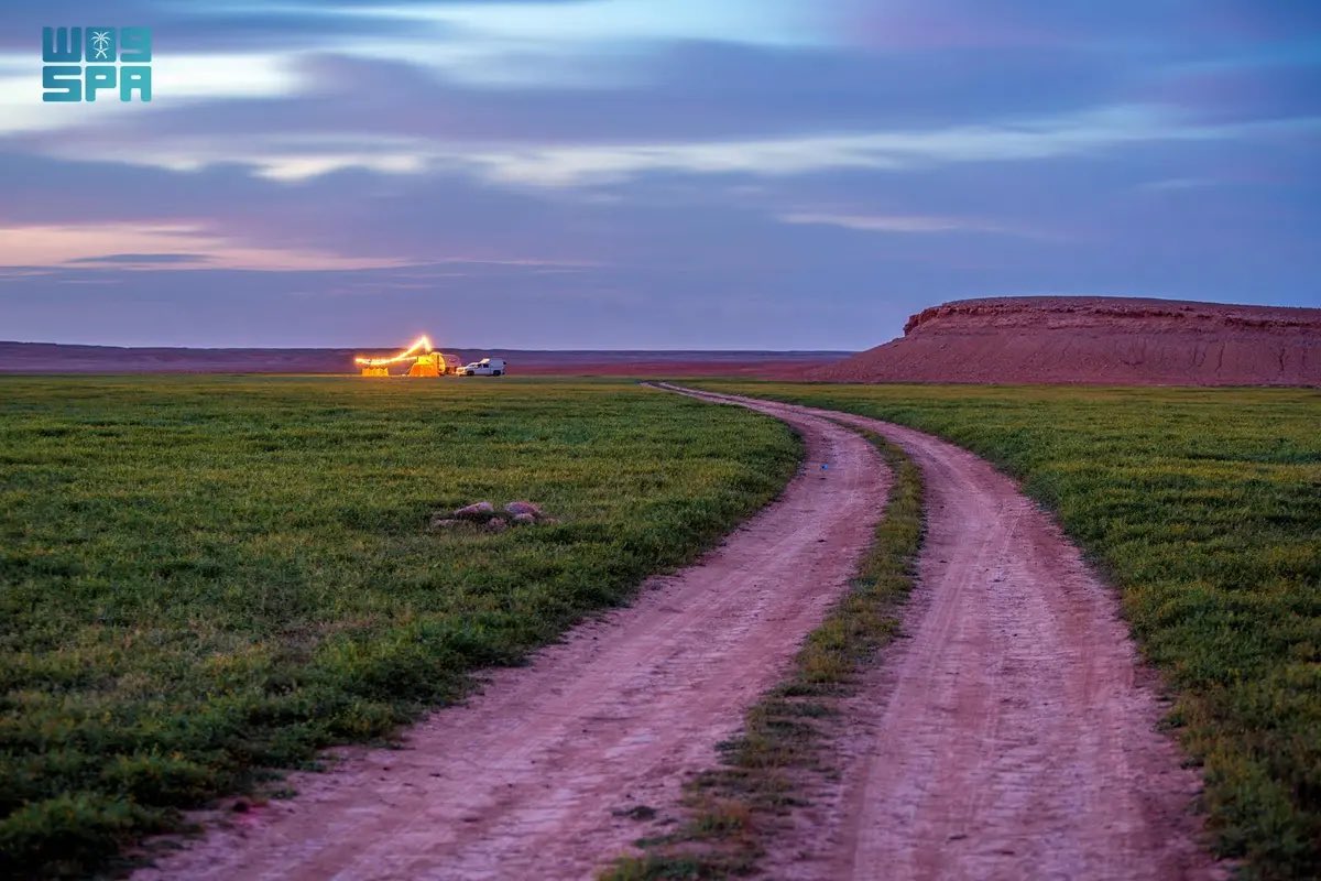 أخبار السعودية tweet media