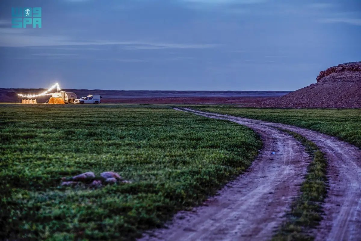 أخبار السعودية tweet media